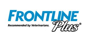 frontline